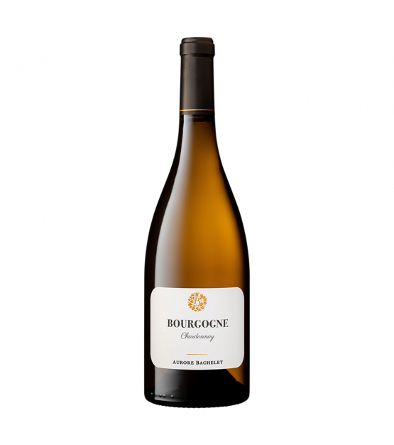 Domaine Aurore Bachelet Bourgogne Blanc 2022