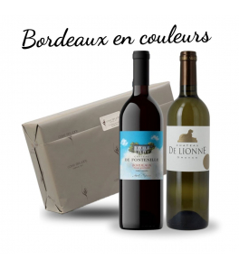 Coffret vins Duo Bordelais